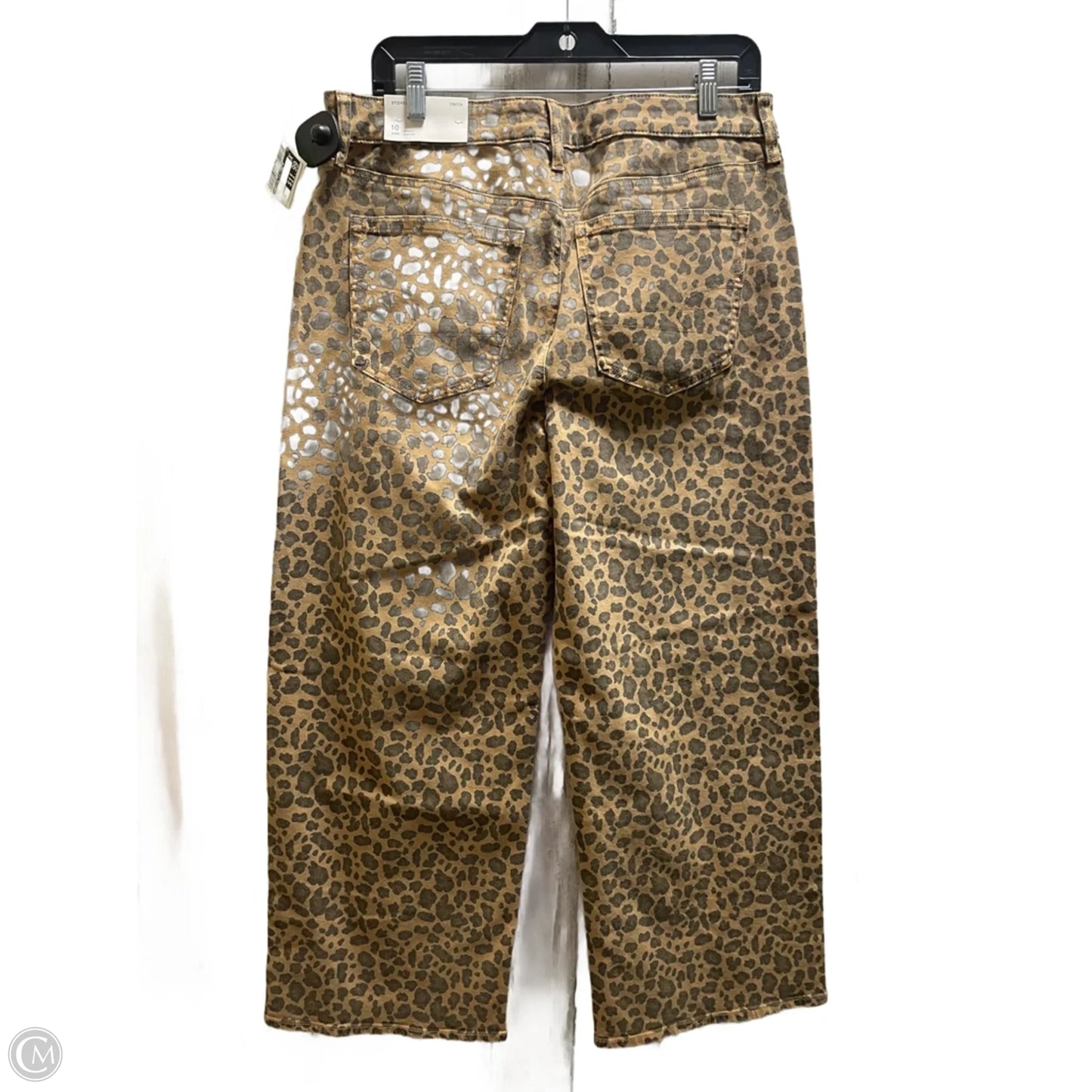 Pants Other By American Eagle In Animal Print, Size: 10