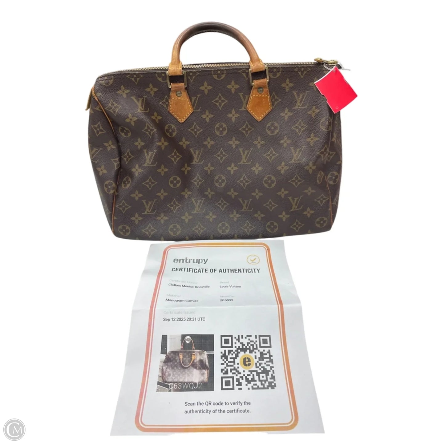 Handbag Luxury Designer By Louis Vuitton, Size: Medium