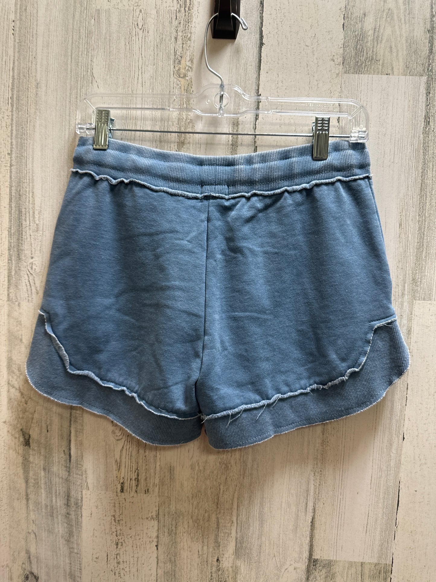 Blue Shorts Clothes Mentor, Size S