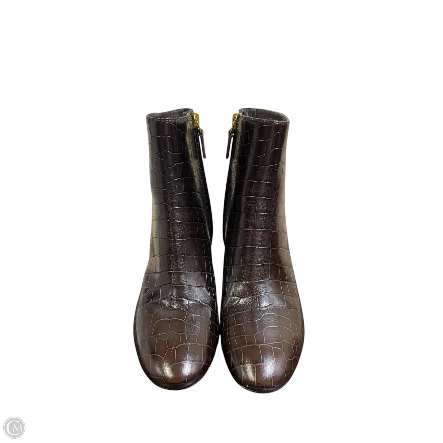 Boots Designer By Tory Burch In Brown, Size: 8